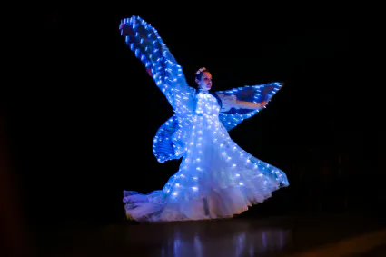 Led 2