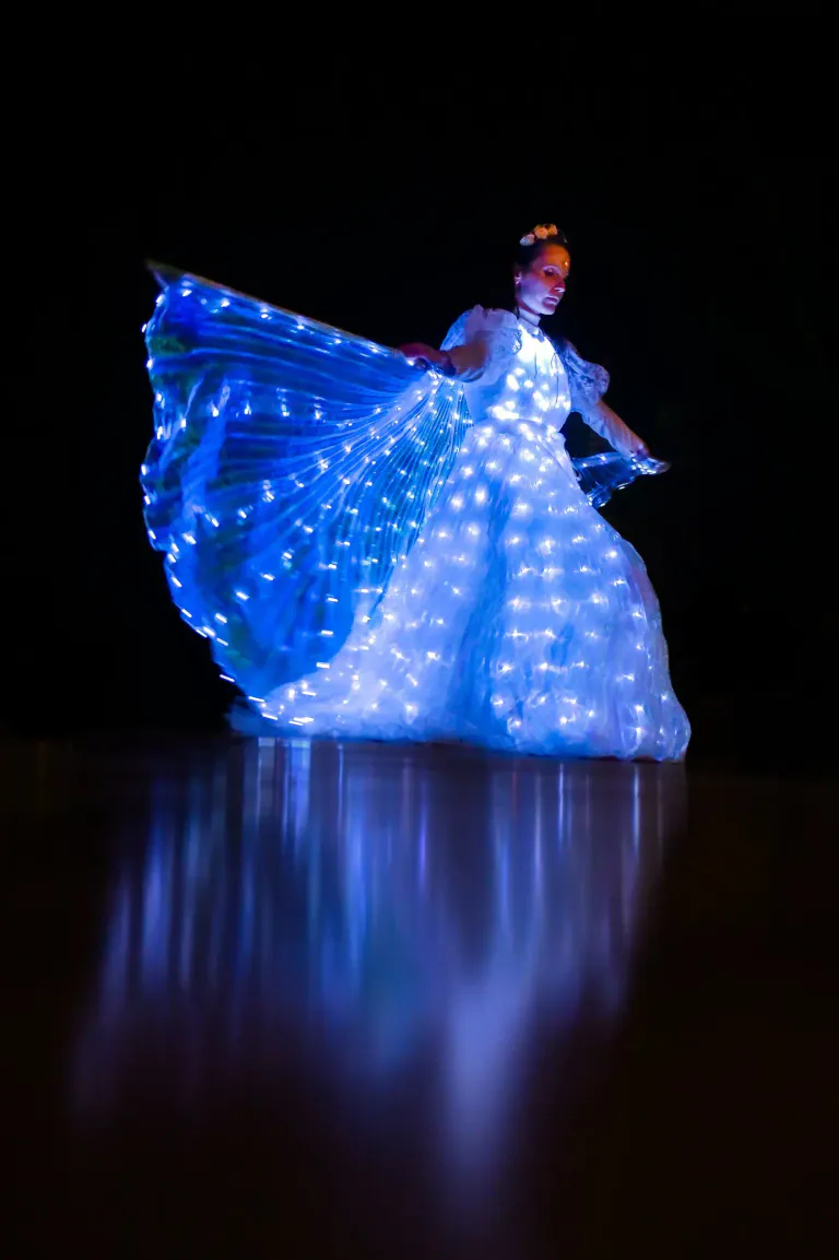 Led 1