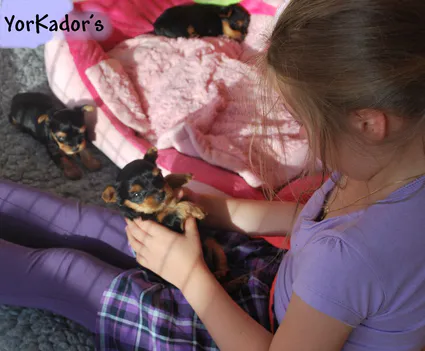 Helloguccietsapetitemaitressec