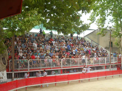 2013 07 28 public 1