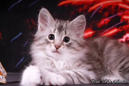 109734127 10207313677238158 3654576265764964557 o