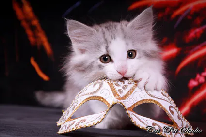 109346184 10207313655557616 8738352007293756026 o