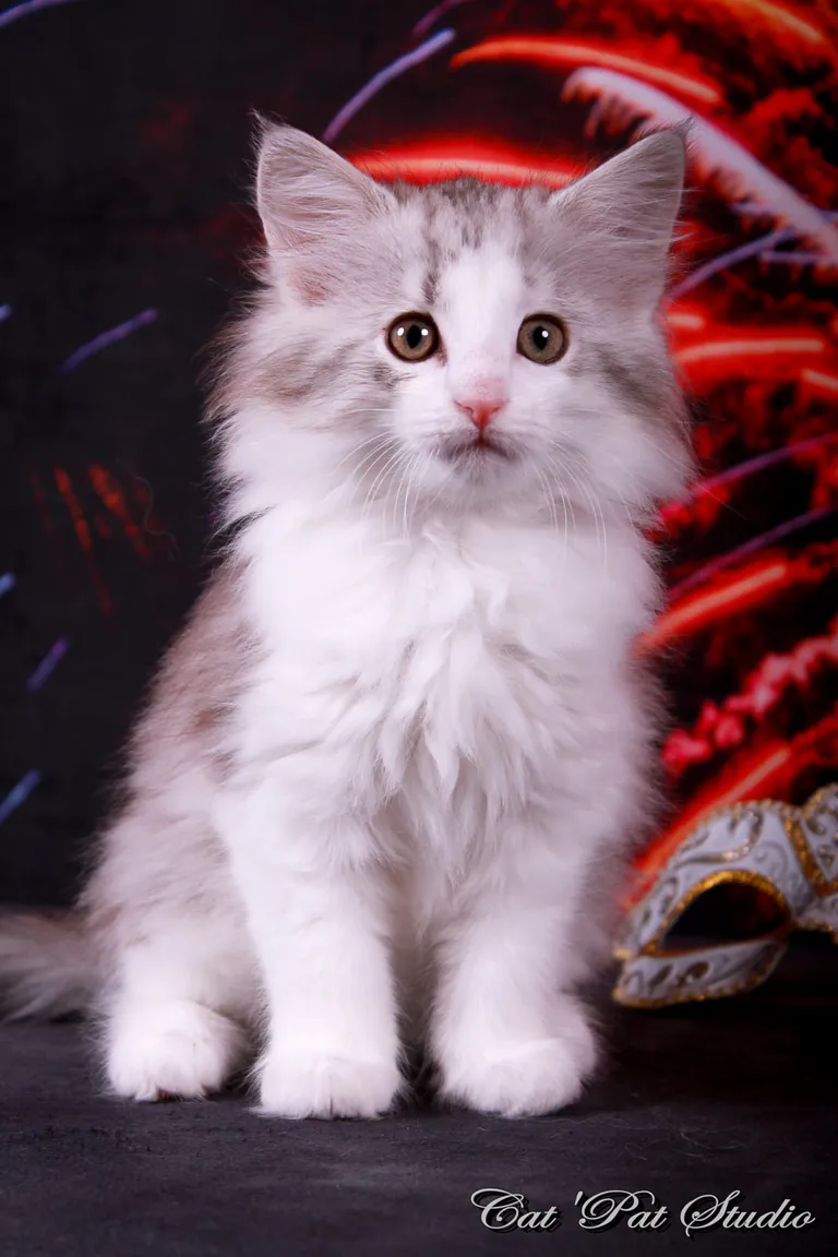 109662093 10207313653237558 79636909649010507 o