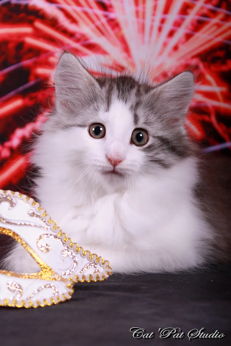 109676331 10207313724039328 3865909266364371698 o