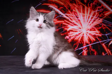 109714151 10207313719119205 7549690466702632978 o