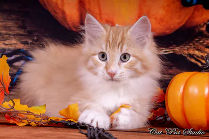 122096872 10207650268172721 9126385322966552433 o