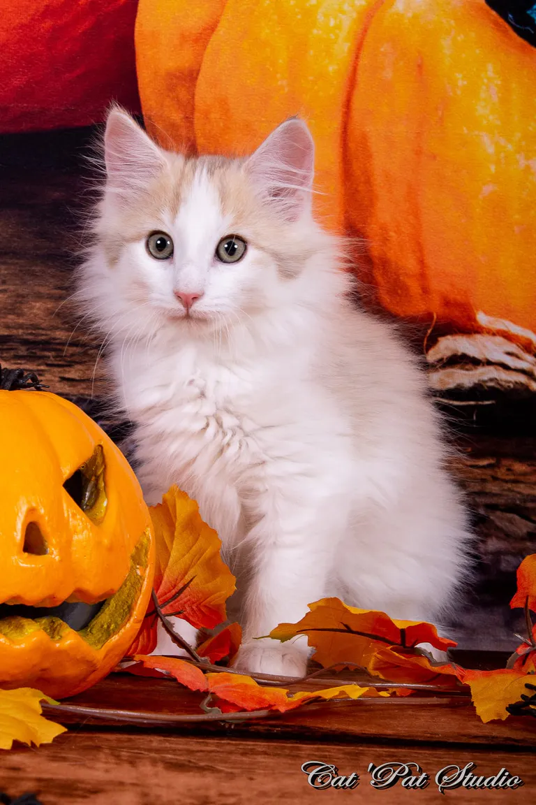 122323350 10207650293333350 7299543378122092118 o