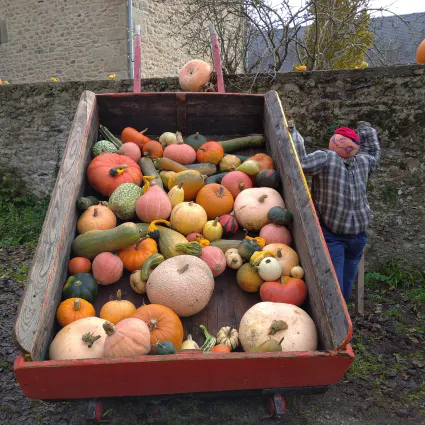 122802882 1082204508876653 3343267627543785746 n