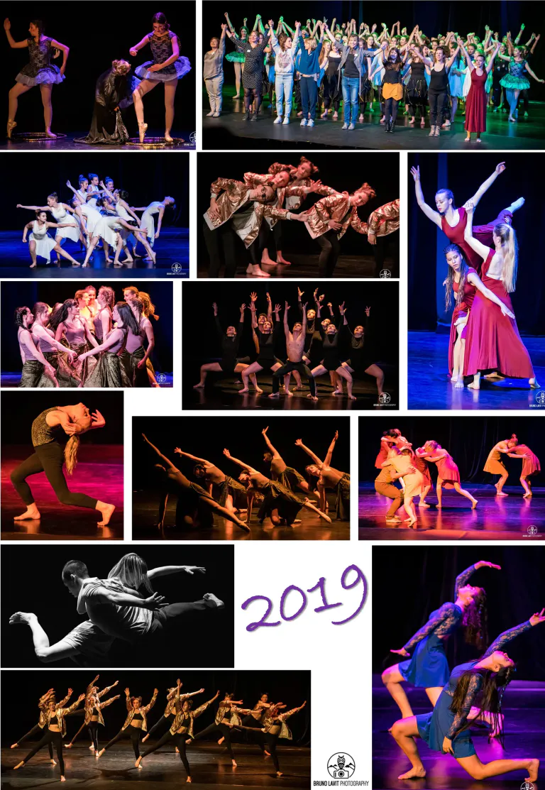 Rencontreschoregraphiques souvenir2019