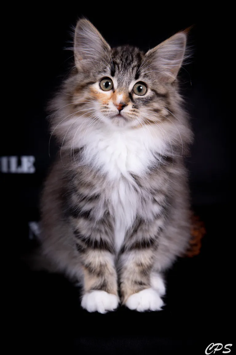 273152649 10208975865991838 3890538223352493870 n