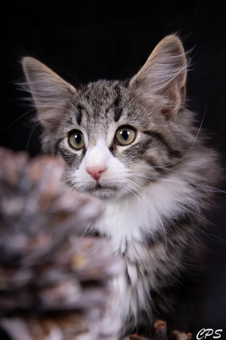 273126537 10208975893512526 8394431302397607537 n