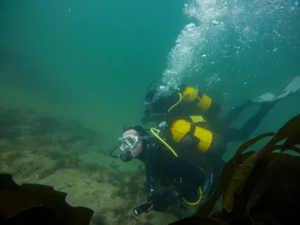 280748923 5089668827758371 3759335551800639864 n