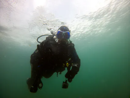 280417905 5089670331091554 1103438550638448647 n