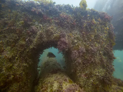 281627557 5089670117758242 896233751498551879 n