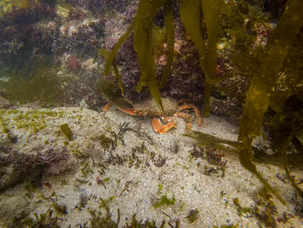 280698049 5089669881091599 8875448560019065966 n