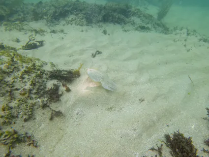 280759289 5089668914425029 7701599316229754424 n