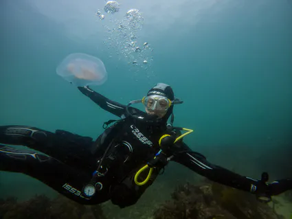 281720294 5089670237758230 7147140356035669483 n