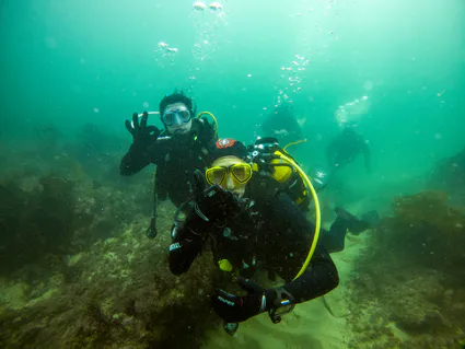 280723079 5089669981091589 4350069094056241237 n