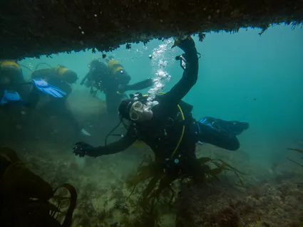 281354968 5089669754424945 271736088060319113 n