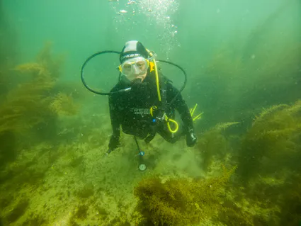 280720625 5089669774424943 868969278567763456 n