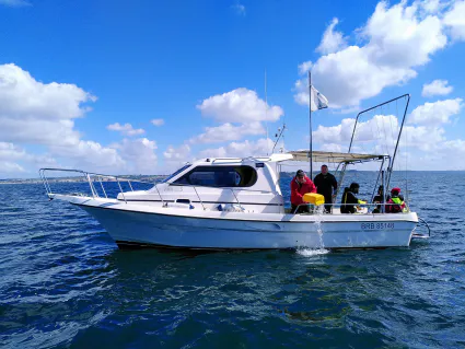 286448756 394425166064415 5275720729052516425 n