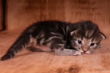 365777659 10210419214834657 4247358718448762790 n