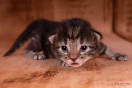 366265728 10210419214794656 2629794794456730076 n