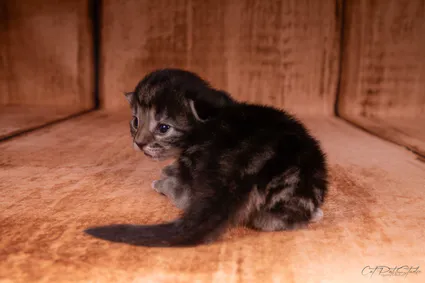 366076404 10210419217594726 7858334214641798484 n