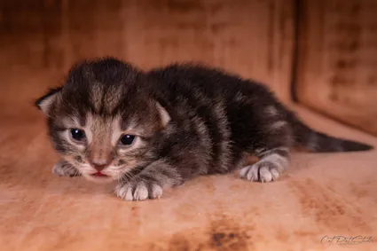 366949955 10210419215754680 1988333821972390912 n