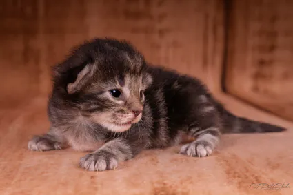 366968989 10210419217074713 2692706538411148244 n