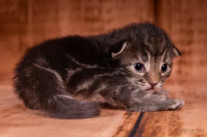 366074124 10210419116192191 7119413753637459345 n