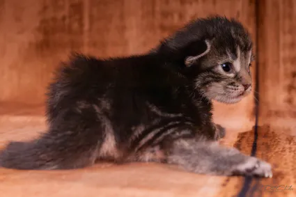 366067172 10210419114512149 9165512840662410102 n