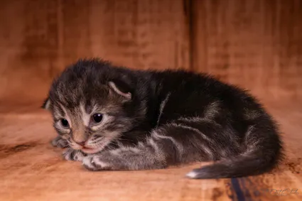 366972979 10210419115312169 4821474091943134966 n