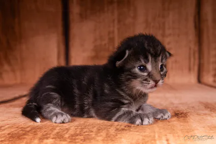 365990532 10210419116632202 4431563879893108799 n