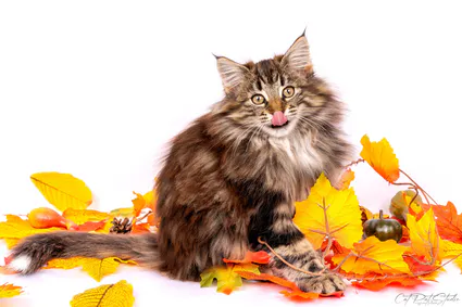 393813212 10210629983543743 146806554679911224 n