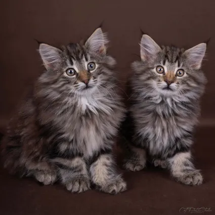 387833419 10210599232814994 6367002600711854071 n