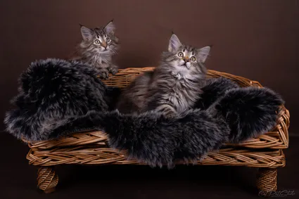 391757458 10210599269855920 4496499189051595903 n