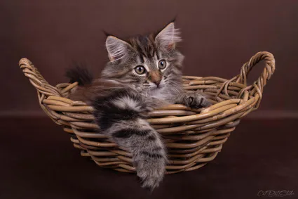 387748588 10210595649005401 3764431182397565016 n