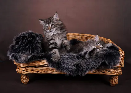 387168123 10210589748937903 6237917622514431808 n