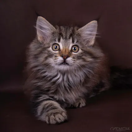 387831726 10210595392398986 2976535874834575441 n 1