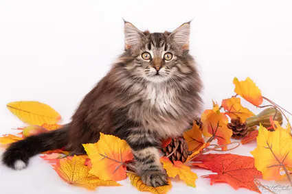 393811373 10210632456685570 3267654905765824378 n