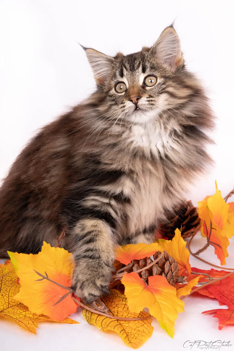 393808171 10210632436445064 5425805310009536126 n