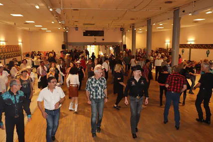 53353144006 817704f37d z