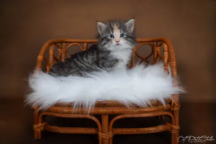 429790169 10210938144127565 3107750062173001530 n