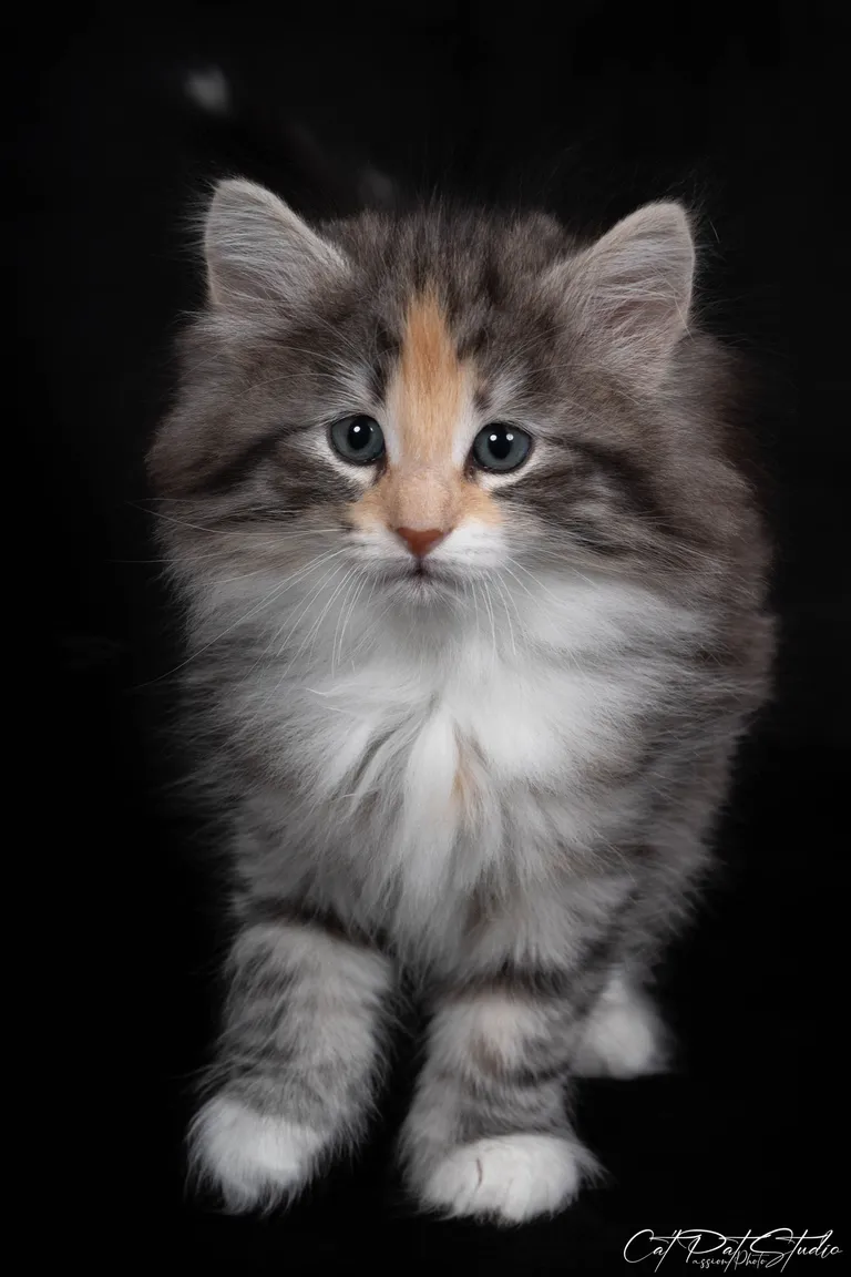 434148503 10210981400288942 1860879807683827453 n