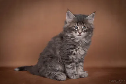 450480808 10211243423799366 5591090543410431448 n