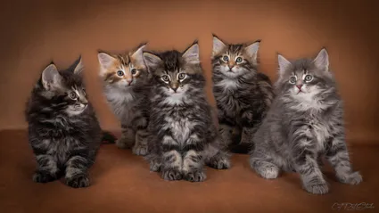 450442781 10211237696536188 8633118913335364823 n