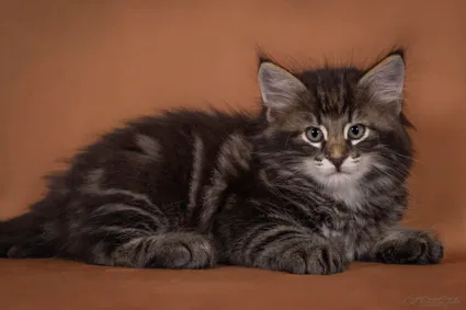 449821658 10211237616054176 2874370078307421393 n