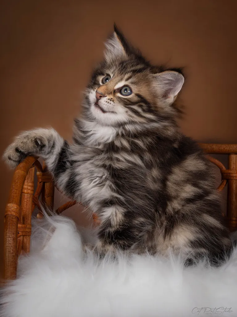 449789183 10211219543362370 2592703082969735680 n