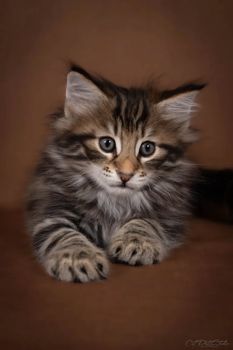 449779443 10211219540402296 7227569648899027128 n